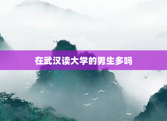 在武汉读大学的男生多吗