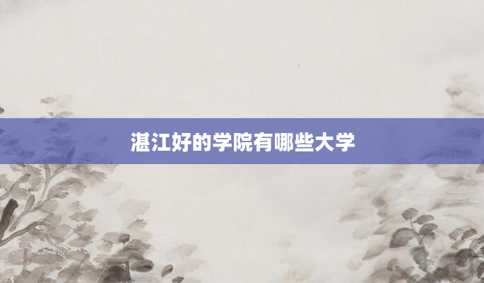 湛江好的学院有哪些大学