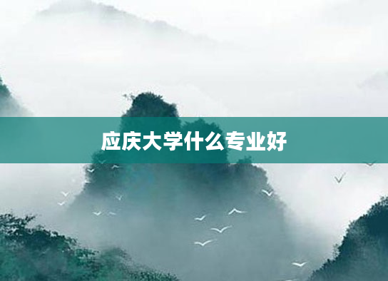 应庆大学什么专业好