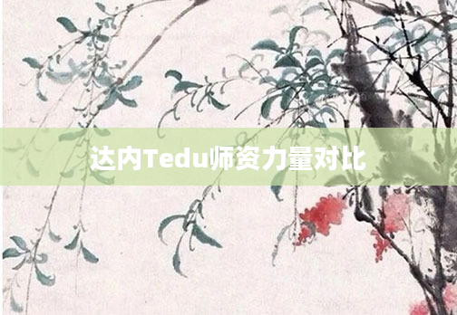 达内Tedu师资力量对比