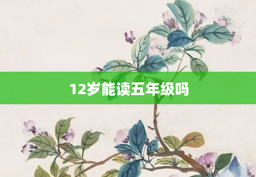 12岁能读五年级吗