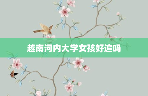 越南河内大学女孩好追吗