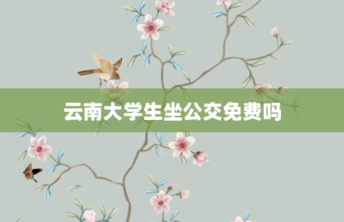 云南大学生坐公交免费吗