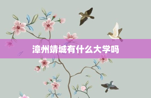 漳州靖城有什么大学吗