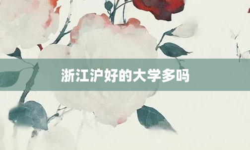 浙江沪好的大学多吗