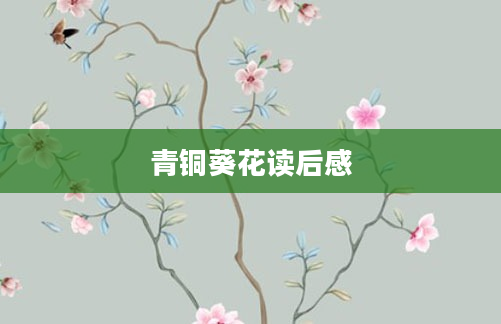 青铜葵花读后感