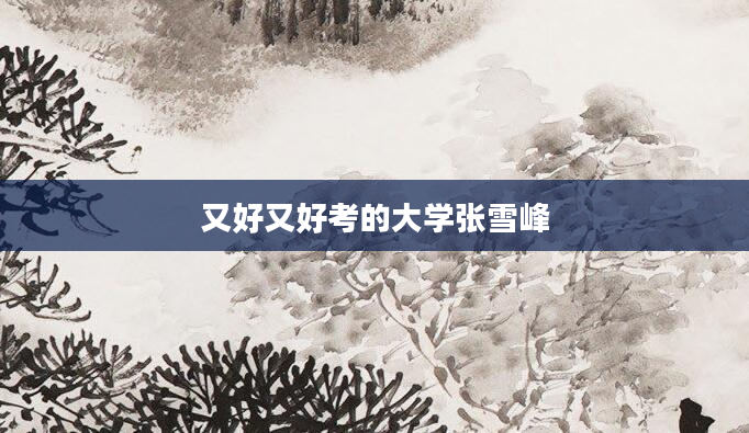 又好又好考的大学张雪峰