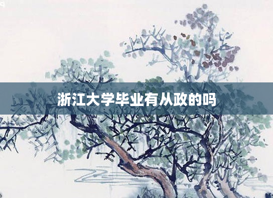 浙江大学毕业有从政的吗