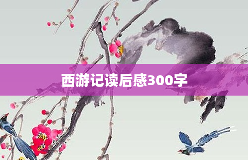 西游记读后感300字