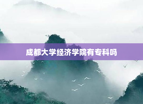 成都大学经济学院有专科吗