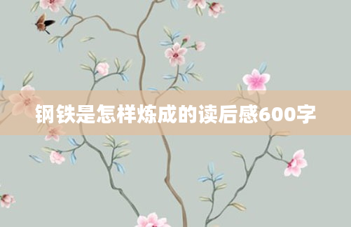 钢铁是怎样炼成的读后感600字