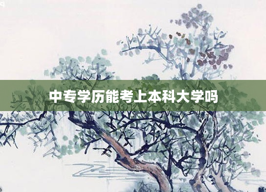 中专学历能考上本科大学吗