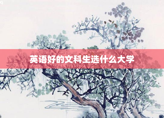 英语好的文科生选什么大学